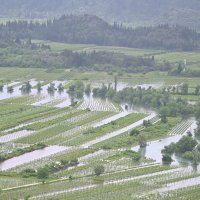 Poplave u vrgoračkom kraju