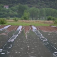 Poplave u vrgoračkom kraju
