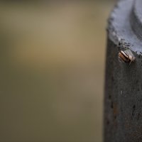 Hrvatska Kostajnica sprema se za nadolazeći vodeni val