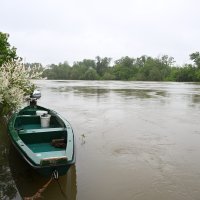 Poplavljeno područje u okolici Lekenika zbog izlijevanja rijeke Kupe