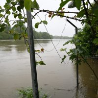 Poplavljeno područje u okolici Lekenika zbog izlijevanja rijeke Kupe