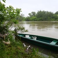 Poplavljeno područje u okolici Lekenika zbog izlijevanja rijeke Kupe