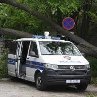 Šibenik: Jak vjetar srušio veliko drvo i razbio policijski kombi