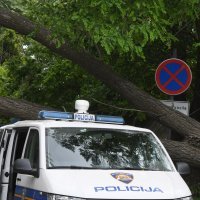 Šibenik: Jak vjetar srušio veliko drvo i razbio policijski kombi