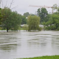 Visok vodostaj rijeke Kupe kod Karlovca