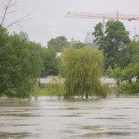 Visok vodostaj rijeke Kupe kod Karlovca
