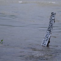 Raste vodostaj Save kod Zagreba