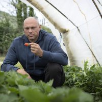 Poplava u Vrgorskom polju