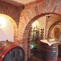 Kuća za odmor Vitis