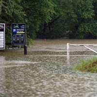 mreznica_poplava3-170523