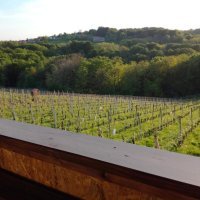 Kuća za odmor Oletić 2