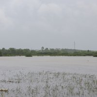 U naselju Selce rijeka Kupa izlila se iz korita i poplavila cestu