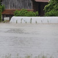 U naselju Selce rijeka Kupa izlila se iz korita i poplavila cestu