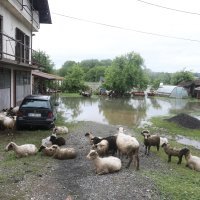 Poplava u Dvoru na Uni
