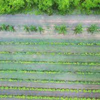 Poplavljena vrgoračka polja