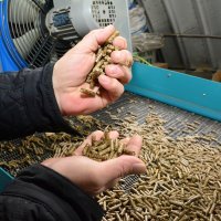 Peleti i drva za ogrjev