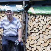 Peleti i drva za ogrjev