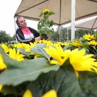 Tomašević otvorio Floraart