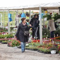 Tomašević otvorio Floraart