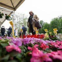 Tomašević otvorio Floraart