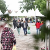 Tomašević otvorio Floraart