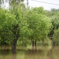 Rijeka Kupa je na povijesnoj razini i neke ceste uz Kupu su zatvorene
