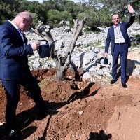 Grlić Radman i veleposlanik Ukrajine posadili maslinu na Pagu