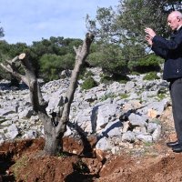 Grlić Radman i veleposlanik Ukrajine posadili maslinu na Pagu