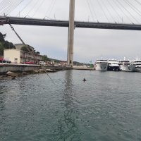 Auto u moru kod Dubrovnika