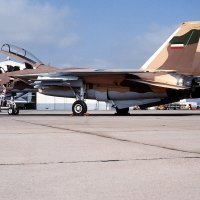 F-14 obojan u kamuflažni uzorak iranskog ratnog zrakoplovstva