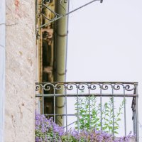 Zgrada Hermana Bollea