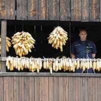 Tisuće ljudi na Danu mladosti - radosti u Kumrovcu