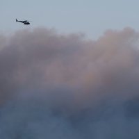 Šumski požar u Halifaxu u Kanadi