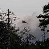 Šumski požar u Halifaxu u Kanadi