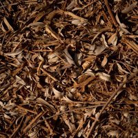 Suša prepolovila urod maslina u Španjolskoj