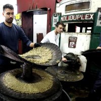 Bratski Dolac: Proizvodnja maslinovog ulja na tradicionalni način