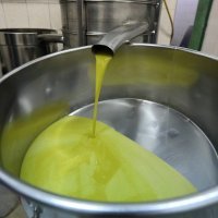 Bratski Dolac: Proizvodnja maslinovog ulja na tradicionalni način