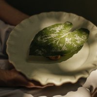 Hoja santa i criollo kakao od bijelog zrna