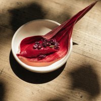 Malina i garambulo tamal