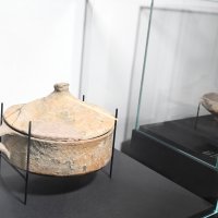 Hrvatski centar koralja