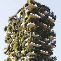 Vertikalna šuma u Milanu