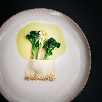 07_TIAN_Rosalind_Amaranth_Buttermilch