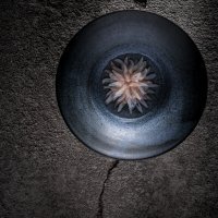 Tres - Rotterdam (6)