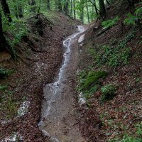 Posljedice nevremena u Zagrebu