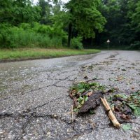 Posljedice nevremena u Zagrebu