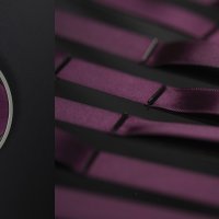 DS Automobiles otkriva M.i. 21