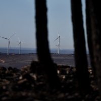 Požari su na proljeće pustošili Španjolsku