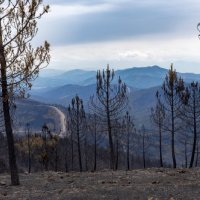 Požari su na proljeće pustošili Španjolsku