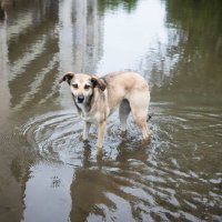 Poplavljeni Herson nakon pucanja brane Kahovka