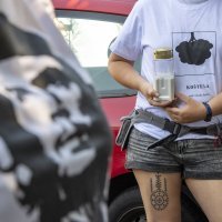 Prosvjed za Pelegreniku